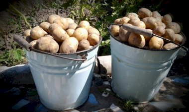 Нет, не вымрут у нас в стране деревни. Даже, несмотря на все старания правительства…