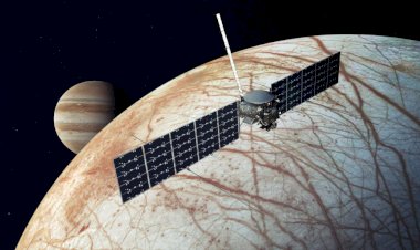 В океане подо льдом может идти снег. Снизу вверх