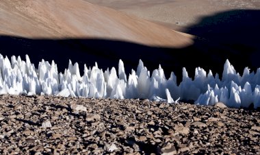 На Европе растут ледяные леса