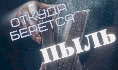 ПЫЛЬ. Что это такое и откуда она берется?