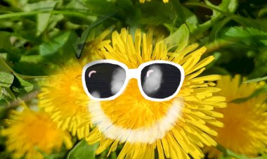 Видео для вдохновения и весеннего настроения.mp4