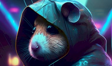 Курс биткоина.  Как BTC отреагировал на повышение ставки ФРС. Обновление сети форка BTC