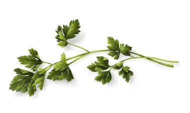 Петрушка — помощник в красоте вокруг глаз