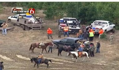Зловеще-мистическое исчезновение Джемисонов