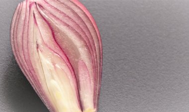 Лук кубиками? Легко при помощи копеечного приспособления