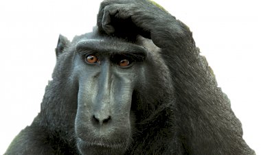 Как написать текст для ютуб и других публичных выступлений?