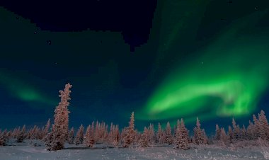 Кто первым добрался до Заполярья, согласно историческим данным?