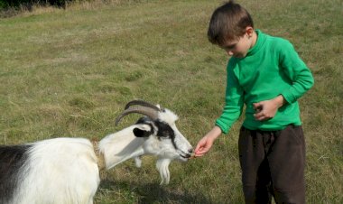 Мальчик не странный, у него просто компьютера нет