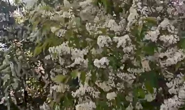 Весенне-летний блог 2 который молчаливым не получился