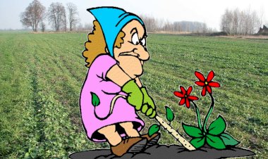 «Плевать я хотела на ваших предков. У меня межевой план есть!..»