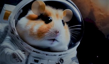 Курс биткоина.  АТОМ (Cosmos Network) две недели после разблокировки