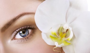 Как снять нагрузку с круговой мышца глаз и вернуть молодость кожи вокруг глаз