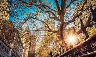 Весна на Улице)