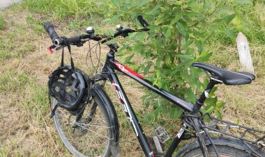 Что то с вело.mp4