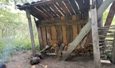 В Тамбовской лесу на отдыхе