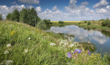 И рвется душа в тот зелени ворох ..