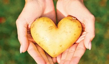 Как улучшить состояние кожи рук и уменьшить пигментацию, морщинки с помощью картофеля