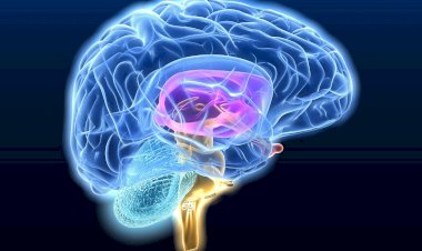 Нейросеть пишет стихи