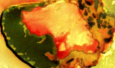 Самое сухое место в Солнечной системе