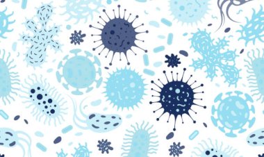 Вирус и бактерия: два сапога — пара?