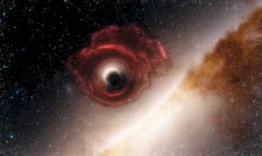 Чёрные дыры: самые большие линзы во Вселенной
