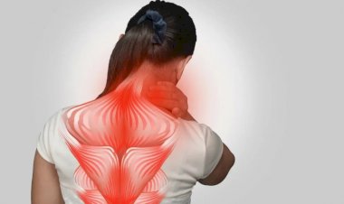 Зачем для здоровья спины растягивать заднюю поверхность тела