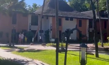 Сейшелы, прекрасная зелёная территория около отеля