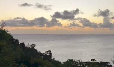 Сейшелы, пейзажи. Автор Алина Горбачева, источник тг канал