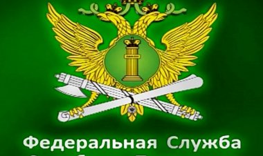 Проще до Бога дозвониться, чем до службы приставов