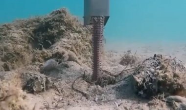 Шаи-Хулуд живёт в Австралии?