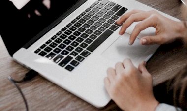 Куда пойти, куда податься. Какую платформу найти и ей отдаться