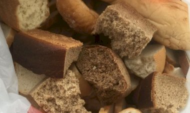 А той ли дорогой идём, товарищи-господа?