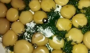 Салат "Грибная поляна" без лука