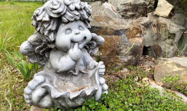 На пороге лета. Первоцветы