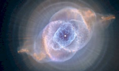 Кошачий глаз. Похоже?