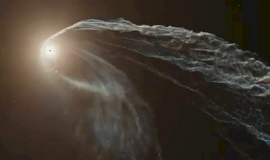 Была звезда... И нет звезды