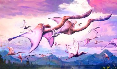 Хорошо, что их нет: самые большие существа с рекордными размерами