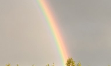 Начало июня - вся жизнь впереди