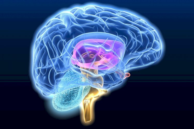 Нейросеть пишет стихи