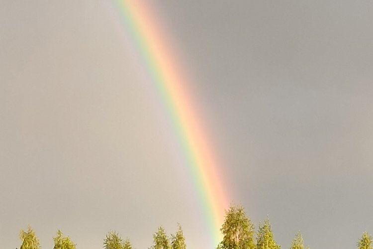 Начало июня - вся жизнь впереди