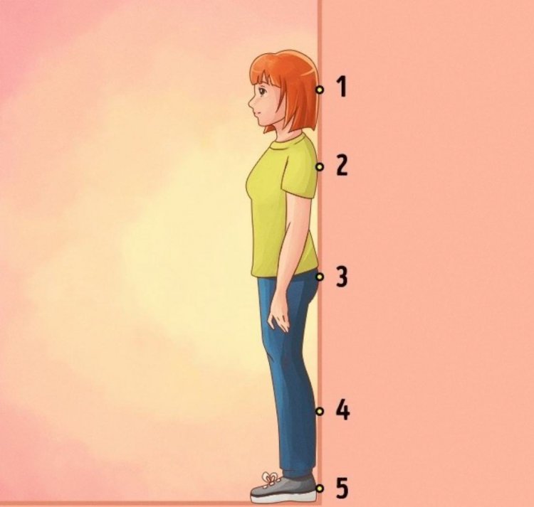 Как тренировать свою осанку с помощью стойки у стены