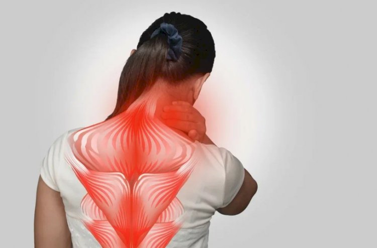 Зачем для здоровья спины растягивать заднюю поверхность тела