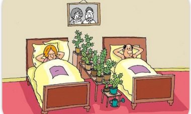 ЮморЛяндия. Смешно о Бывших