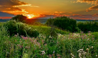 Лето ах лето)