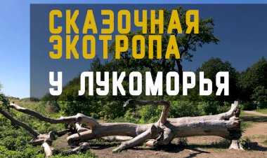 Сказочная экотропа «У Лукоморья»