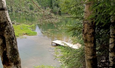 Токсово. Глоток воздуха и творческая реабилитация для художника