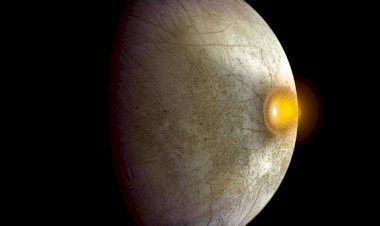 Откуда на Европе жизнь?