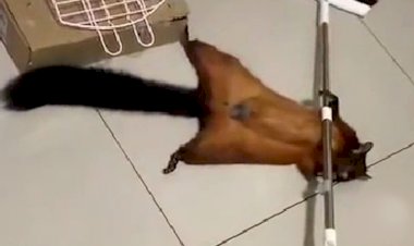 Меня нет, я умерла!