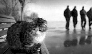 Деревенский фетиш