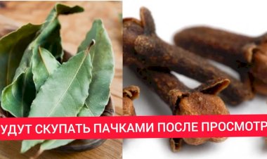 Народное средство о котором ходят легенды - 3 гвоздики + 3 лавровых листа
